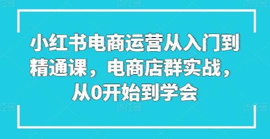 小红书电商运营从入门到精通课，电商店群实战，从0开始到学会-Zv头条